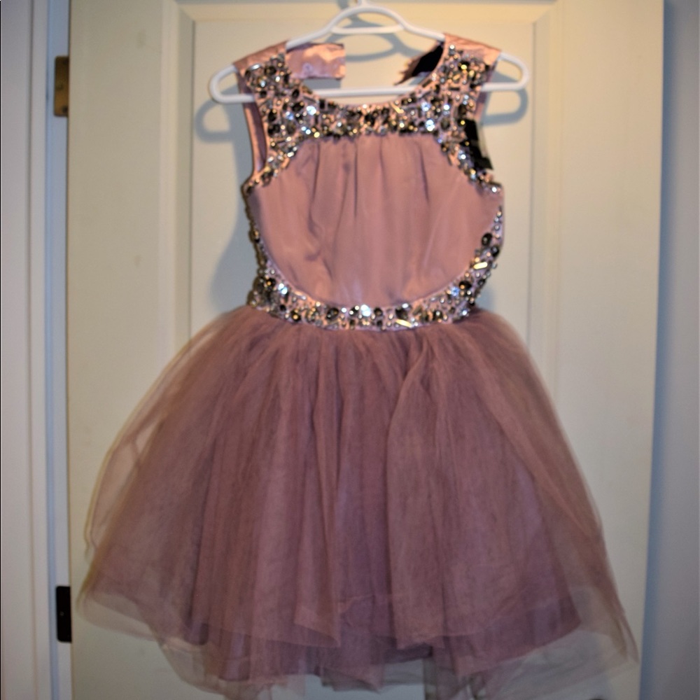 NWT ASOS petite collection Dress